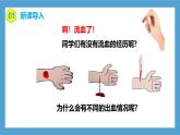 【核心素養(yǎng)目標】人教版初中生物七年級下冊4.4.2《血流的管道—血管》課件+教案+習題