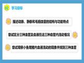 【核心素養(yǎng)目標】人教版初中生物七年級下冊4.4.2《血流的管道—血管》課件+教案+習題