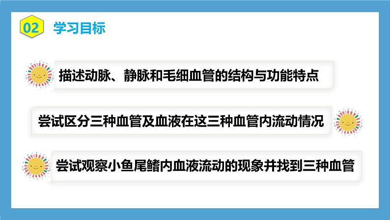 人教版初中生物七年级下册4.4.2《血流的管道—血管》课件第5页