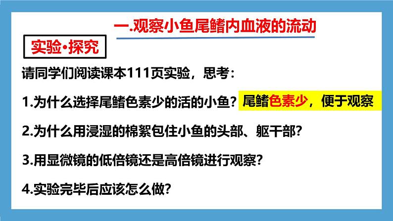 人教版初中生物七年级下册4.4.2《血流的管道—血管》课件第8页