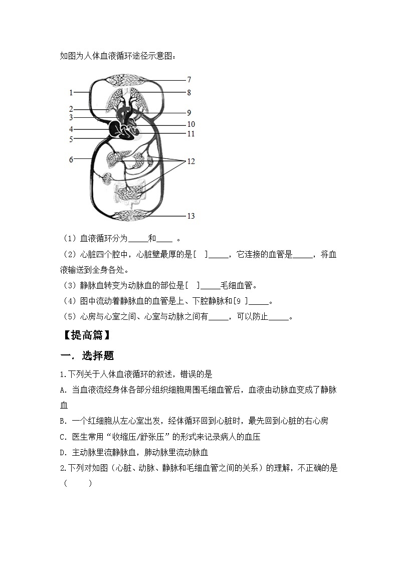 人教版初中生物七年级下册4.4.3《输送血液的泵—心脏》第2课时  同步练习（含答案）第3页