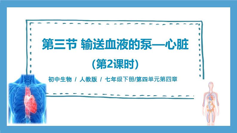 人教版初中生物七年级下册4.4.3《输送血液的泵—心脏》第2课时  课件第1页