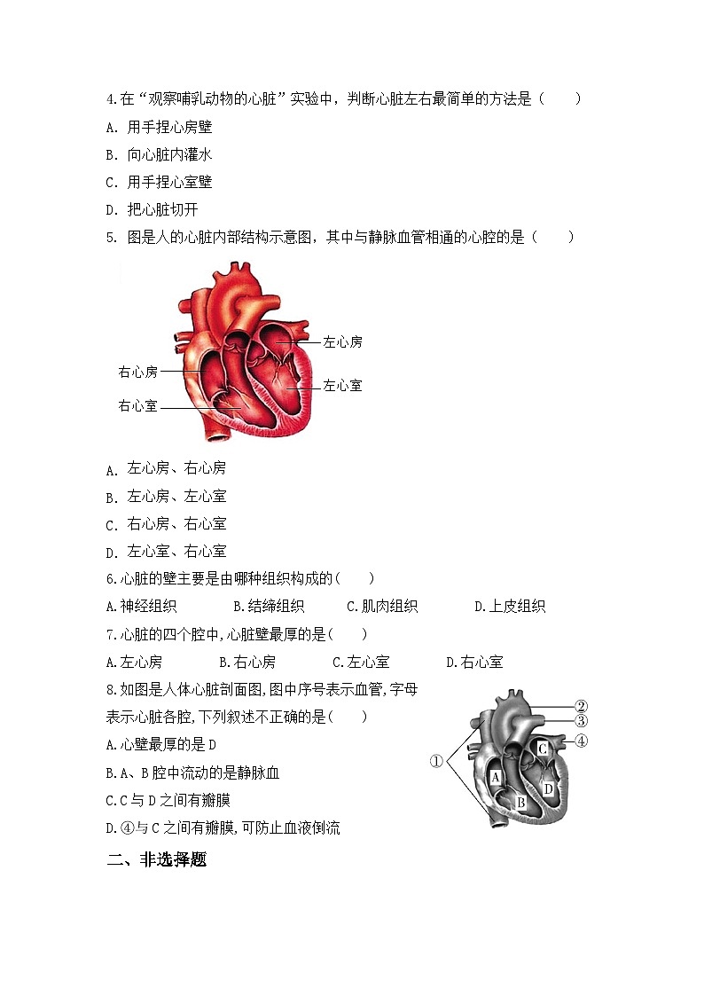 人教版初中生物七年级下册4.4.3《输送血液的泵—心脏》第1课时  同步练习（含答案）第2页