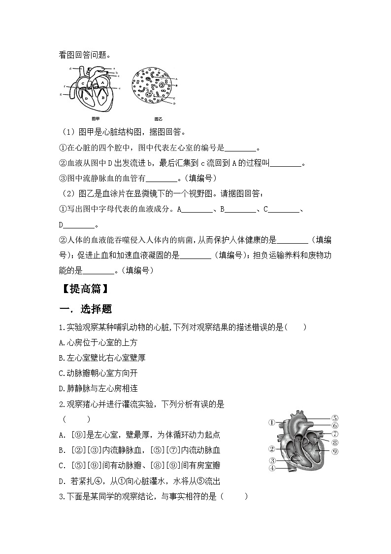 人教版初中生物七年级下册4.4.3《输送血液的泵—心脏》第1课时  同步练习（含答案）第3页