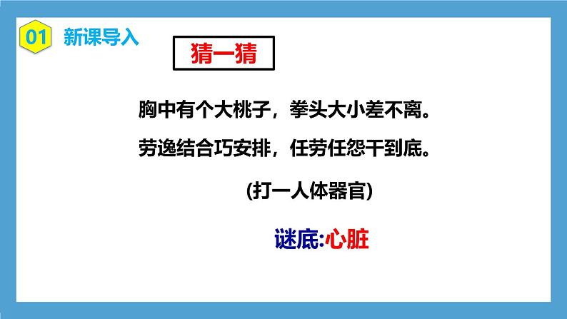 人教版初中生物七年级下册4.4.3《输送血液的泵—心脏》第1课时  课件第3页