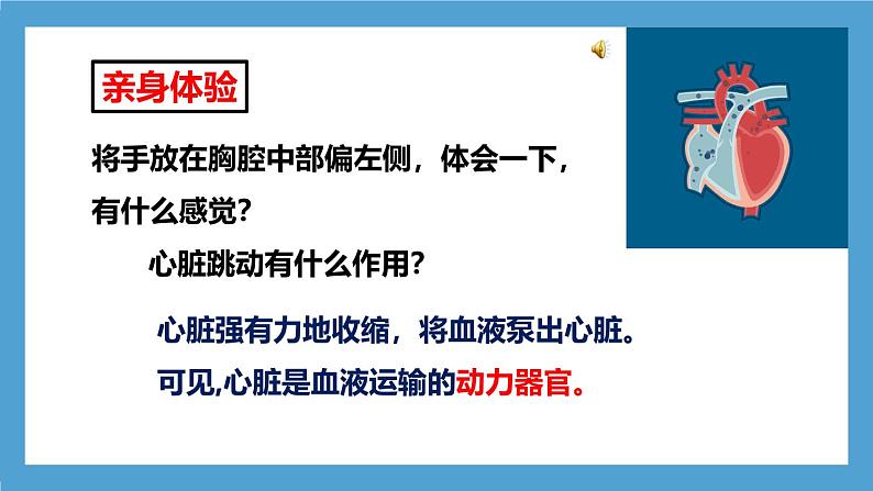 人教版初中生物七年级下册4.4.3《输送血液的泵—心脏》第1课时  课件第4页