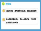 【核心素養(yǎng)目標】人教版初中生物七年級下冊4.4.3《輸送血液的泵—心臟》第1課時  課件+教案+習題