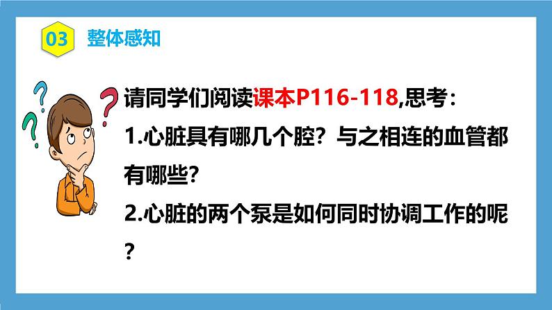 人教版初中生物七年级下册4.4.3《输送血液的泵—心脏》第1课时  课件第6页