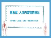 【核心素養(yǎng)目標】人教版初中生物七年級下冊4.5《人體內廢物的排出》課件+教案+習題