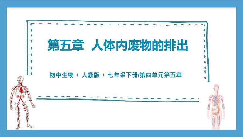 人教版初中生物七年级下册4.5《人体内废物的排出》课件第1页