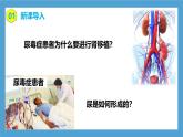 【核心素養(yǎng)目標】人教版初中生物七年級下冊4.5《人體內廢物的排出》課件+教案+習題