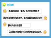 【核心素養(yǎng)目標】人教版初中生物七年級下冊4.5《人體內廢物的排出》課件+教案+習題