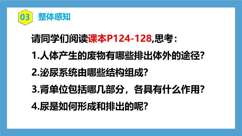 人教版初中生物七年级下册4.5《人体内废物的排出》课件第5页