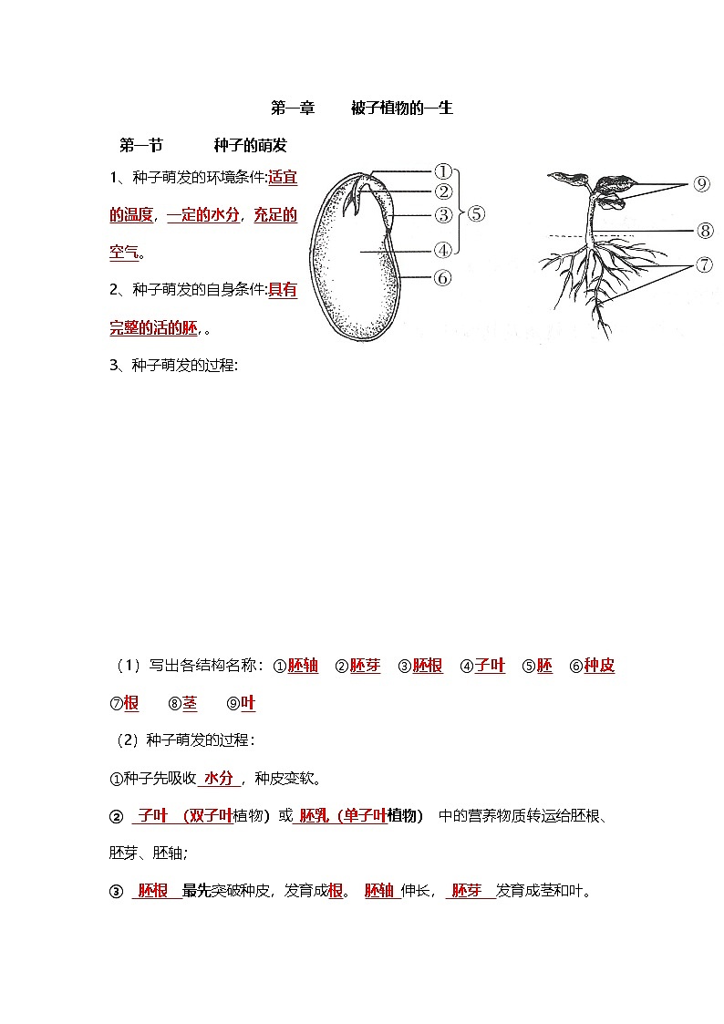 人教版初中生物七下3.1被子植物的一生（教师版）第1页