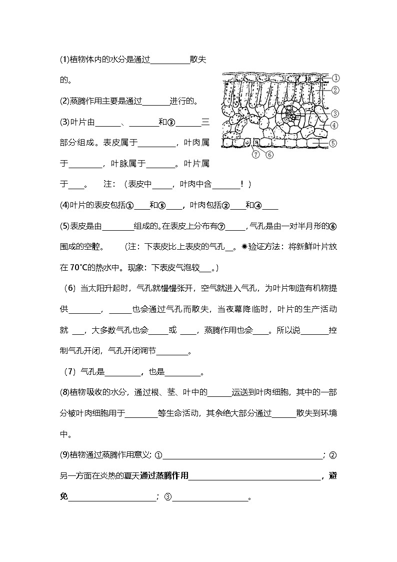 人教版初中生物七下3.2植物体内的物质与能量变化（学生版）第2页