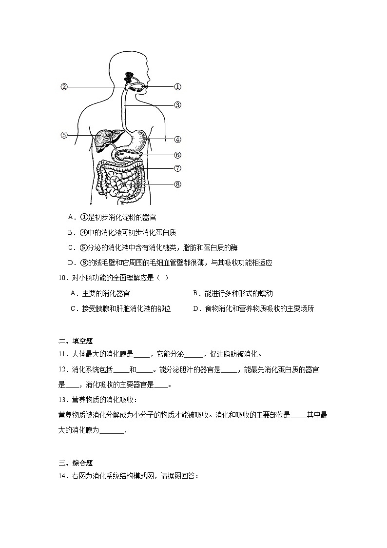 4.2.2《消化和吸收》课时练习第3页