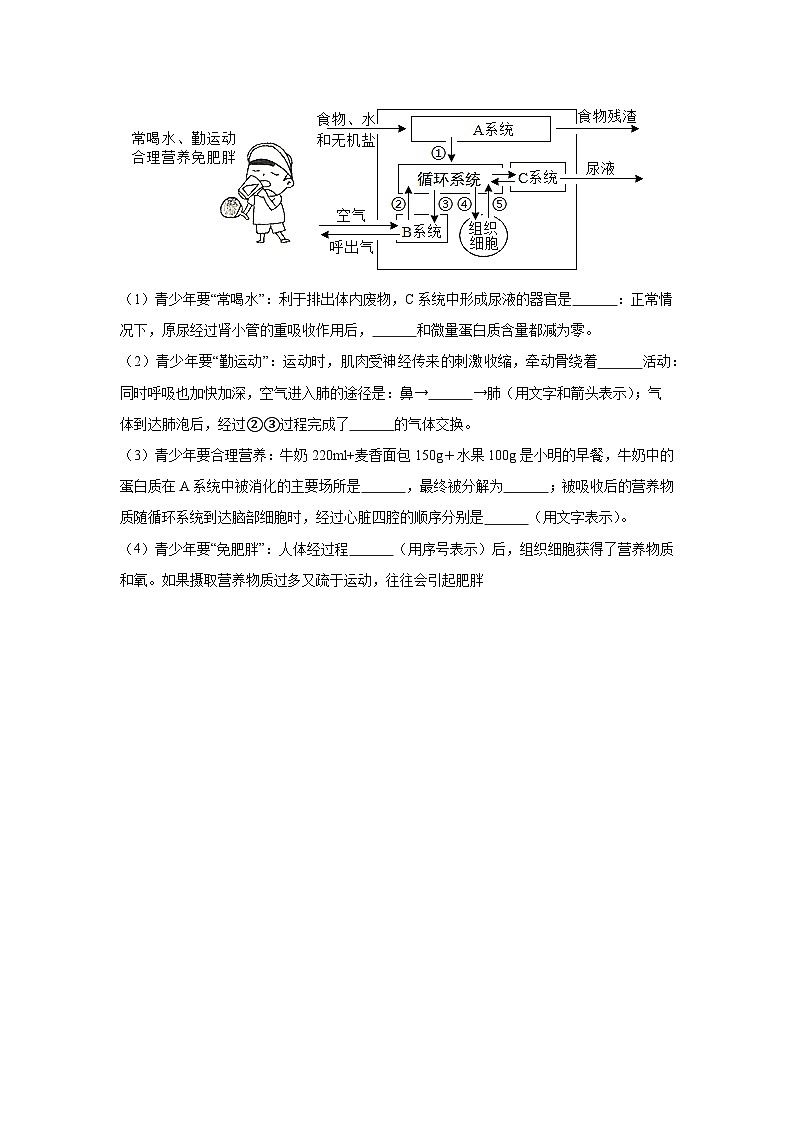4.5《人体内废物的排出》课时练习第3页