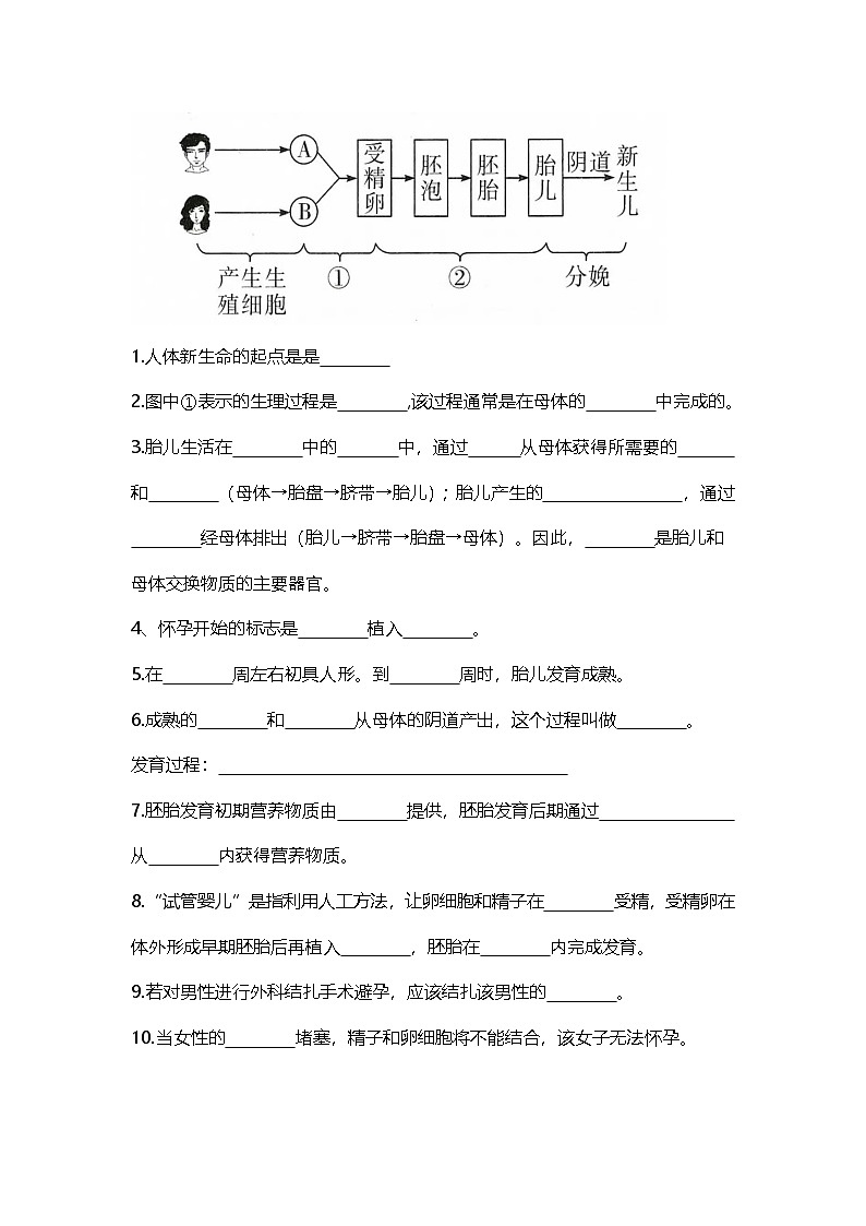 人教版初中生物七下4.1人的生殖和发育（学生版）第2页