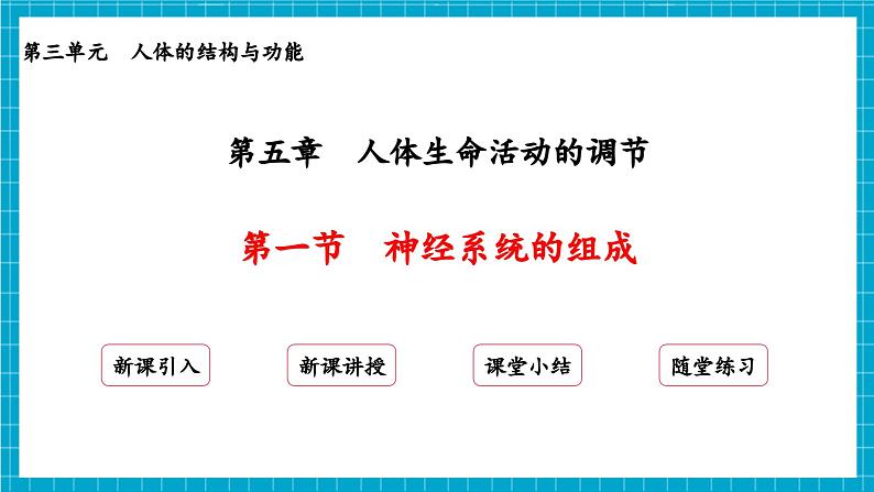 【新教材】冀少版生物七年级下册3.5.1 神经系统的组成 课件第2页