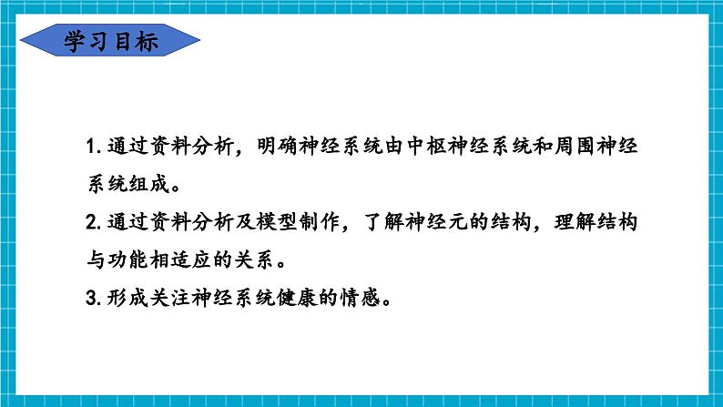 【新教材】冀少版生物七年级下册3.5.1 神经系统的组成 课件第3页
