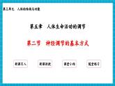 【新教材】冀少版生物七年級下冊3.5.2 神經(jīng)調(diào)節(jié)的基本方式 課件