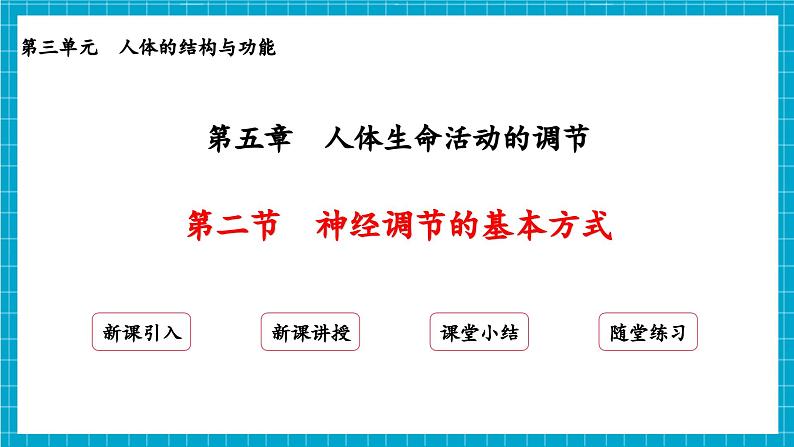 【新教材】冀少版生物七年级下册3.5.2 神经调节的基本方式 课件第2页