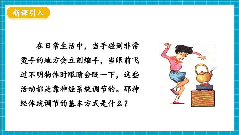 【新教材】冀少版生物七年级下册3.5.2 神经调节的基本方式 课件第4页