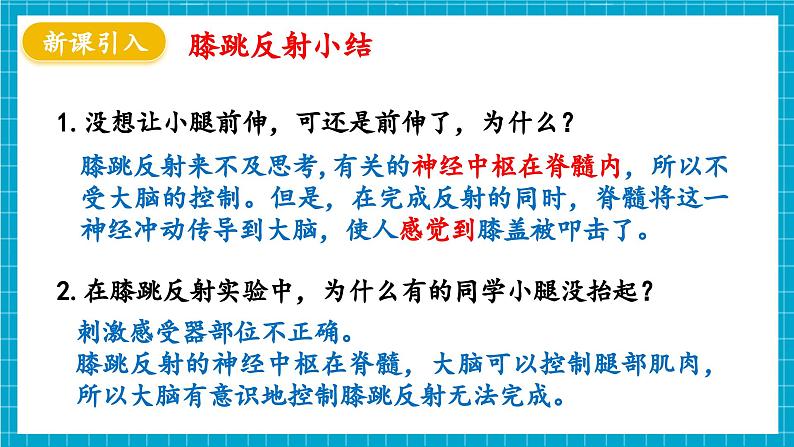 【新教材】冀少版生物七年级下册3.5.2 神经调节的基本方式 课件第6页