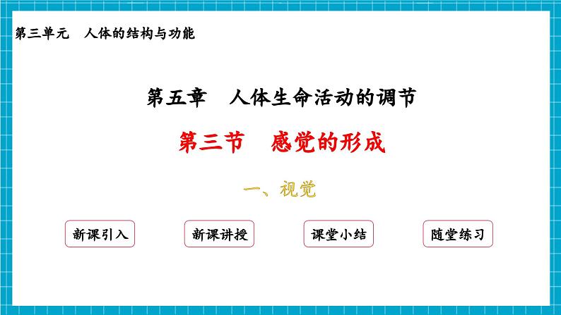 【新教材】冀少版生物七年级下册3.5.3 感觉的形成 课件第2页