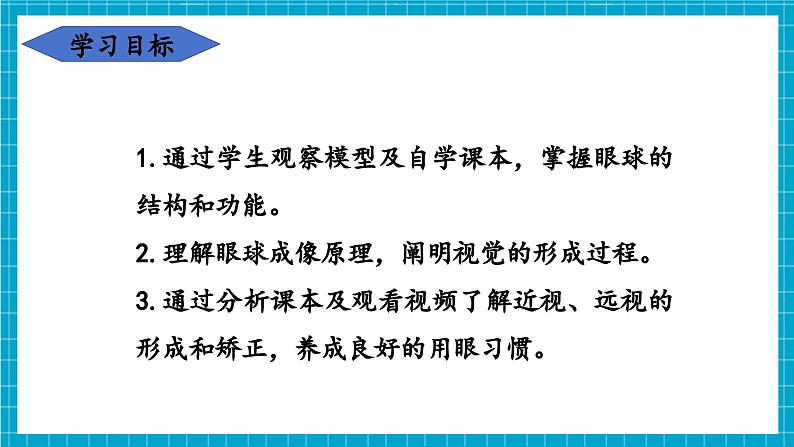 【新教材】冀少版生物七年级下册3.5.3 感觉的形成 课件第3页