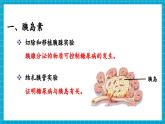 【新教材】冀少版生物七年级下册3.5.5 激素与生命活动调节 课件