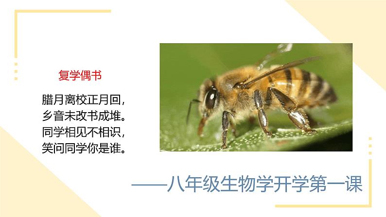 【开学第一课】2025年春季初中生物八年级下册课件第1页