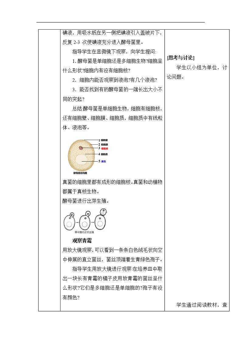 16685973第3页