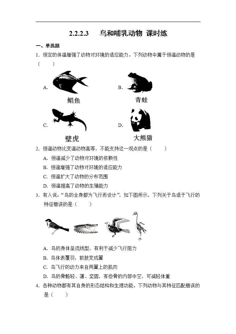 16686004第1页