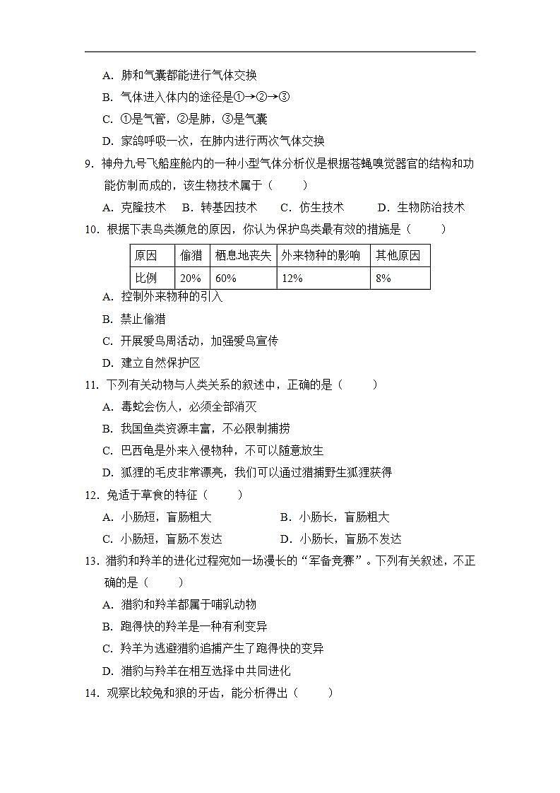 16686004第3页