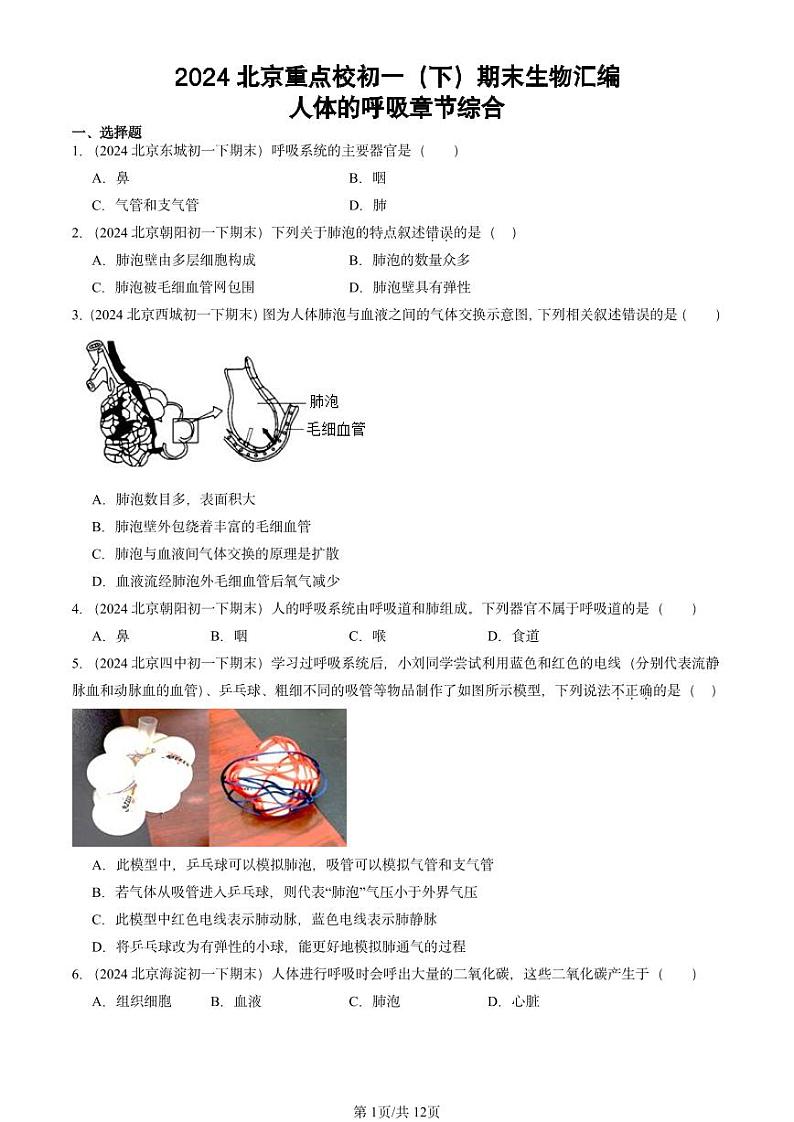 2024北京重点校初一（下）期末真题生物汇编：人体的呼吸章节综合第1页