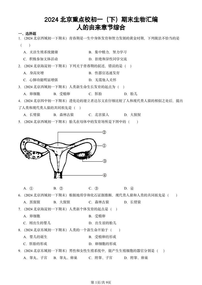 2024北京重点校初一（下）期末真题生物汇编：人的由来章节综合第1页