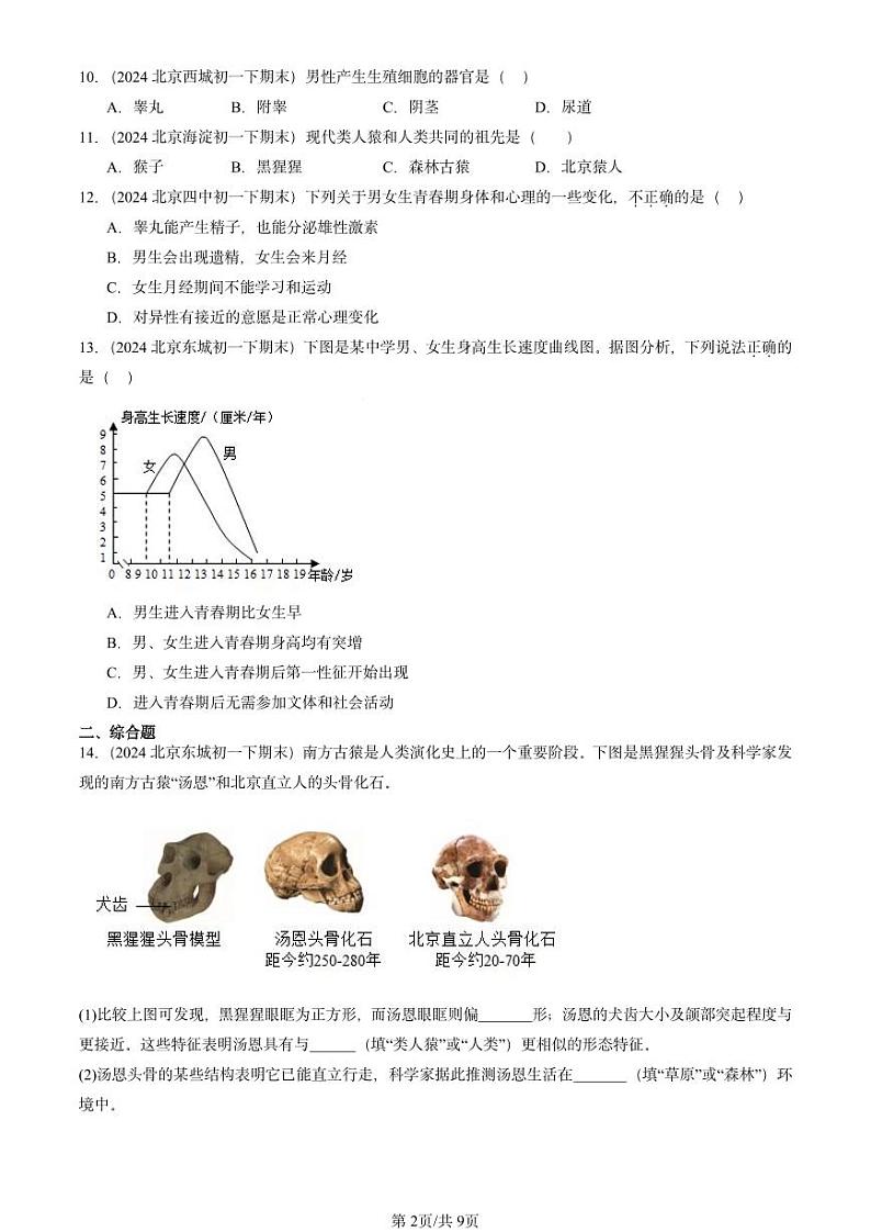 2024北京重点校初一（下）期末真题生物汇编：人的由来章节综合第2页