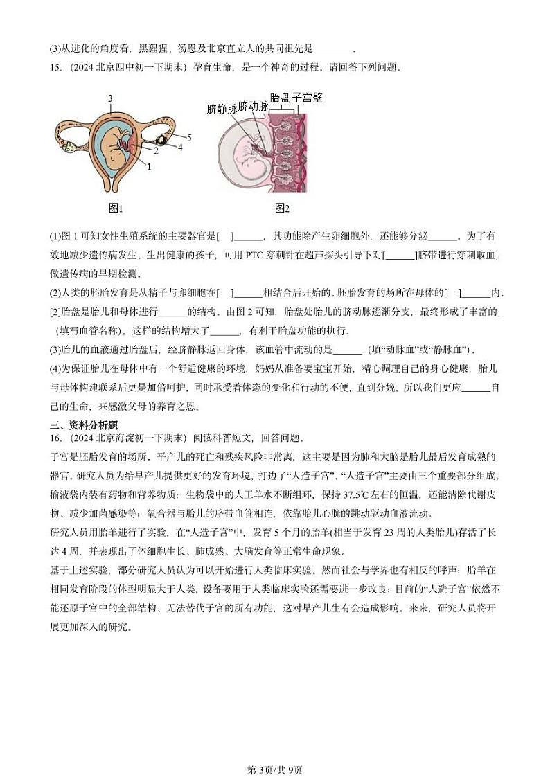 2024北京重点校初一（下）期末真题生物汇编：人的由来章节综合第3页