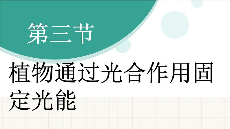 济南版（2024）生物七年级下册 3.1.3 植物通过光合作用固定光能（课件）第3页