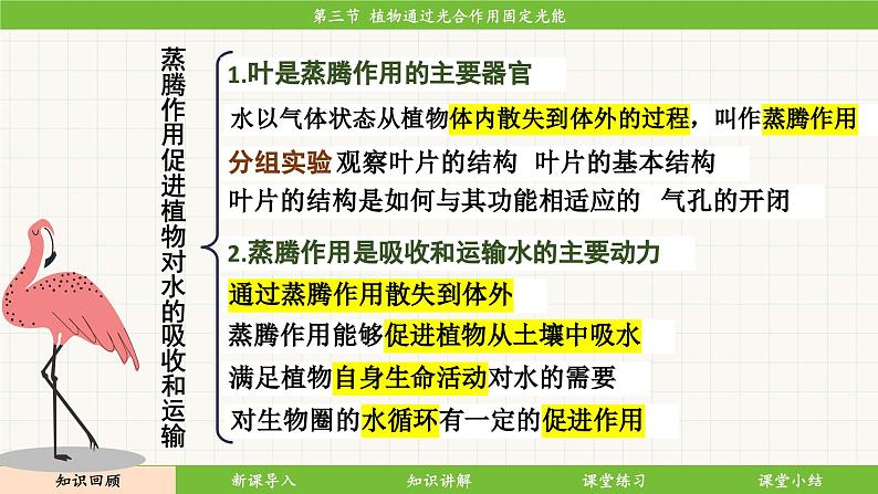 济南版（2024）生物七年级下册 3.1.3 植物通过光合作用固定光能（课件）第4页