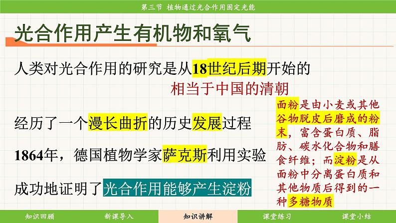 济南版（2024）生物七年级下册 3.1.3 植物通过光合作用固定光能（课件）第8页