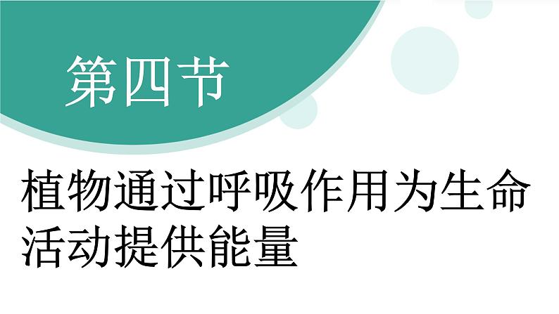 济南版（2024）生物七年级下册 3.1.4 植物通过呼吸作用为生命活动提供能量（课件）第3页