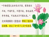 济南版（2024）生物七年级下册 3.1.4 植物通过呼吸作用为生命活动提供能量（课件）