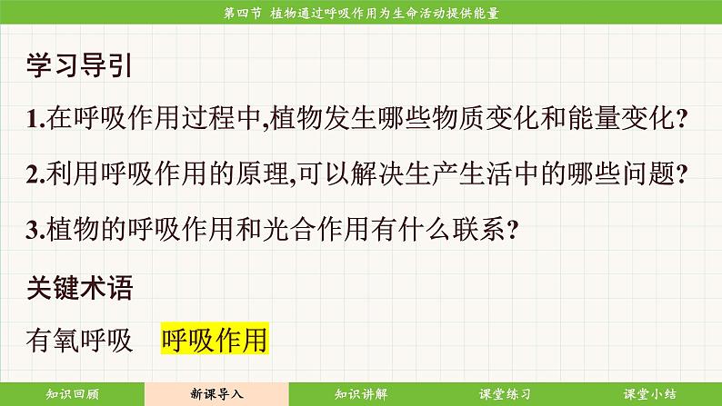济南版（2024）生物七年级下册 3.1.4 植物通过呼吸作用为生命活动提供能量（课件）第6页