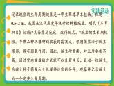 济南版（2024）生物七年级下册 3.2.1 花是被子植物特有的生殖器官（课件）