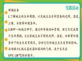 济南版（2024）生物七年级下册 3.2.1 花是被子植物特有的生殖器官（课件）