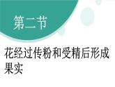 济南版（2024）生物七年级下册 3.2.2 花经过传粉和受精后形成果实（课件）