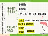 济南版（2024）生物七年级下册 3.2.2 花经过传粉和受精后形成果实（课件）