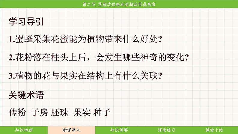 济南版（2024）生物七年级下册 3.2.2 花经过传粉和受精后形成果实（课件）第6页